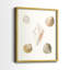 «Pastel Knorr Shells», reproduction encadrée de qualité supérieure - prête à être accrochée - aucun clou requis - aucun clou requis-1759117992-1759117993