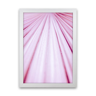 Pink Palm Leaf 1 Piece Wall Art