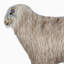 Sheep Kidney Pillow