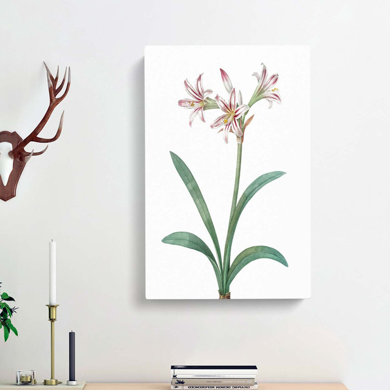 Pretty Amaryllis Flowers by Pierre-Joseph Redoute - Wrapped Canvas Print, 50cm H x 35cm W x 3cm D