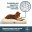 Silentnight Firm Support Crate Mattress Pet Bed-108771617-98240153