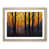 Oak Framed