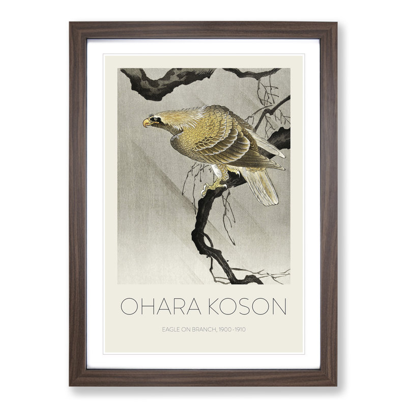 Eagle In The Tree by Ohara Koson - Single Picture Frame Print, Walnut Framed, 36cm H x 27cm W x 2cm D