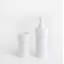 Veneto 15.6in. H Wall Mounted Toilet Brush and Holder