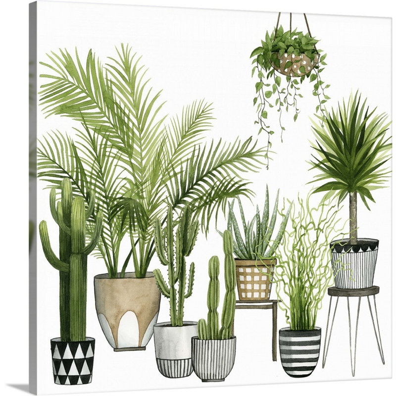 «Plant Haven II», art mural sur toile, Toile tendue, H 30 po x l 30 po x P 1,25 po