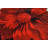 Kunzler Performance Floral Indoor Rug-1924757521