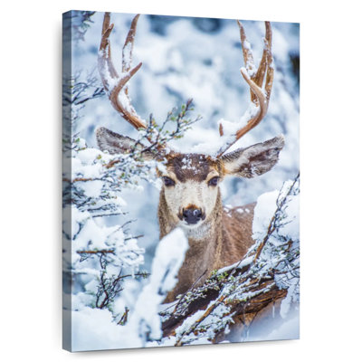 Brampt Winter Mule Deer