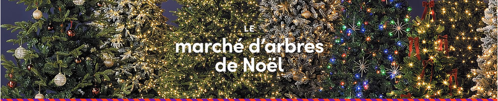 le marché d'arbres de Noël