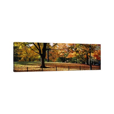 Trees in a Forest, Central Park, Manhattan, New York City, New York, USA 1 Piece Wrapped Canvas Panoramic Wall Art