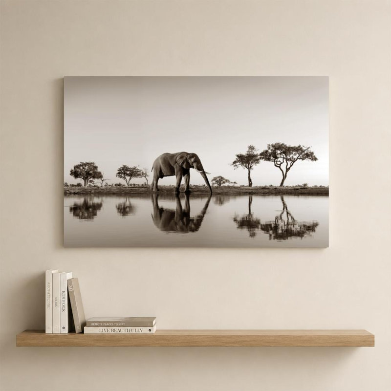 Parc du Botswana par Danita Delimont - Graphisme sur toile, H 24 po x l 36 po, Toile tendue, Ne s’applique pas