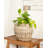 Round Belly Planter With Plastic Insert