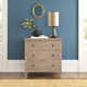 Charleston 3 - Drawer Dresser | Birch Lane