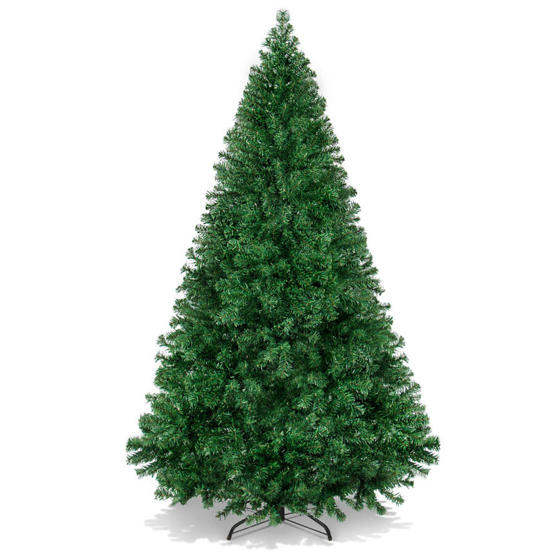 Sapin de Noël, H 6 pi