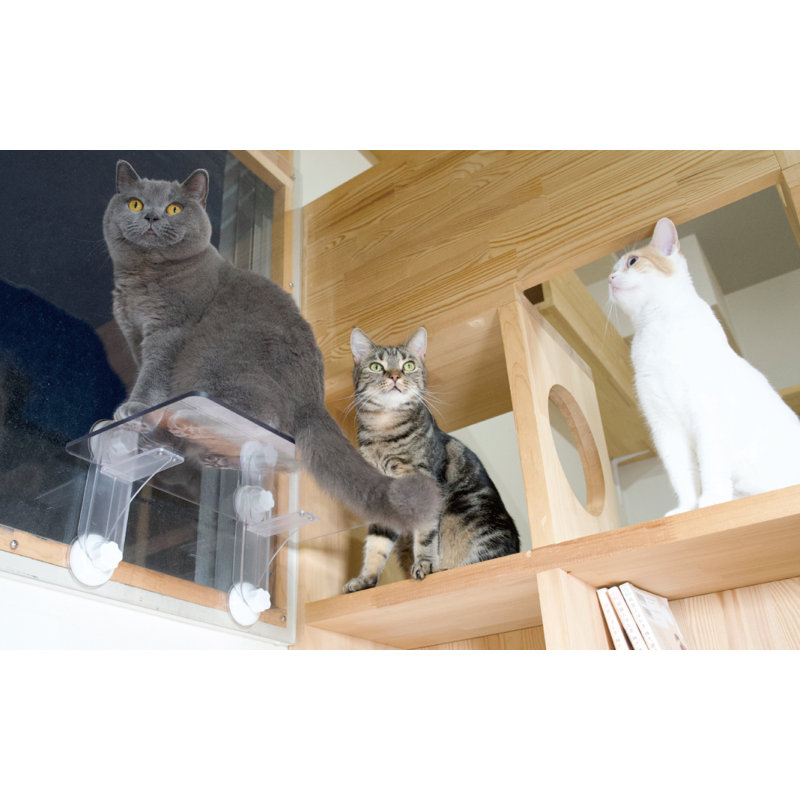 Marche pour chat pour fenêtre