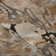Premium Machine Washable Cerrito AMF558 Paprika Rug