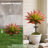 Artificial Agave Succulent Ground Inserted Plant-1469348533-1461730359