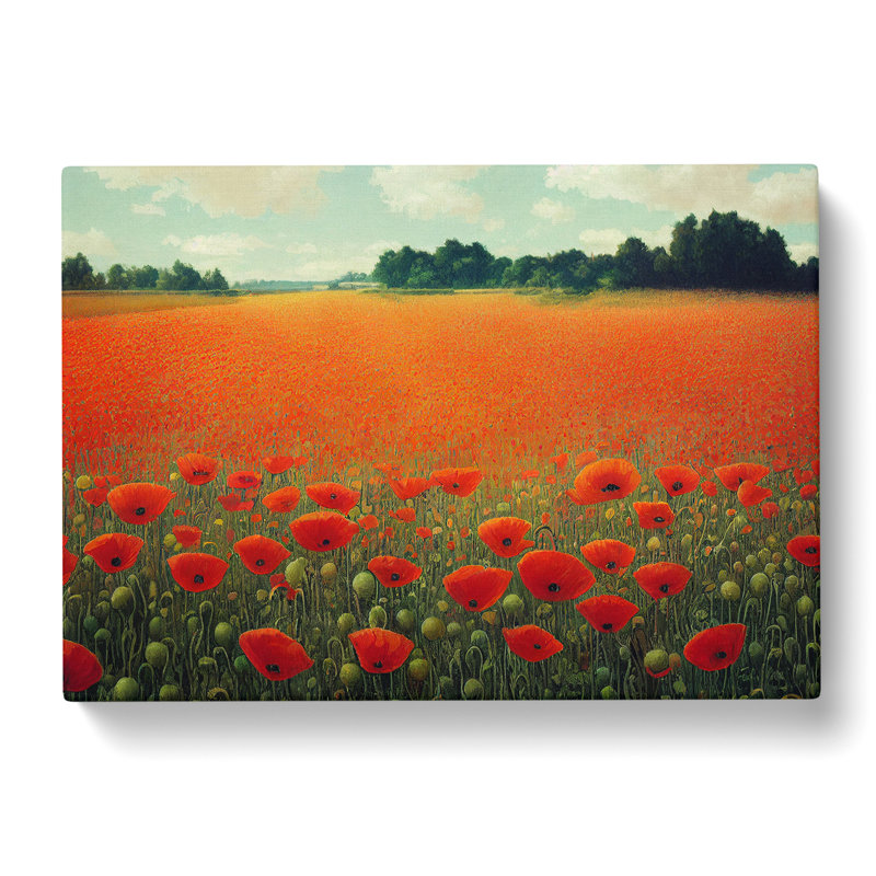 Unusual Poppy Field Flowers - Wrapped Canvas, 35cm H x 50cm W x 3cm D