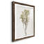 Farmhouse Pressed Flower II - peinture encadrée-1572627890-1572627900