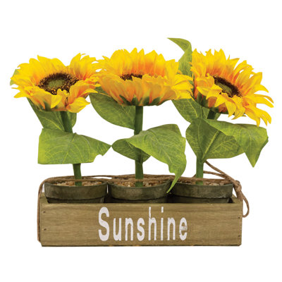 3/Set, Potted Sunflowers in Wooden Crate