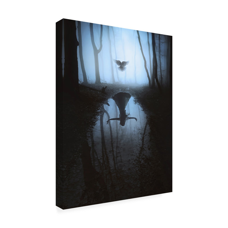 Art sur toile «Bachelor Terry F Fly To You 2», H 24 po x l 18 po