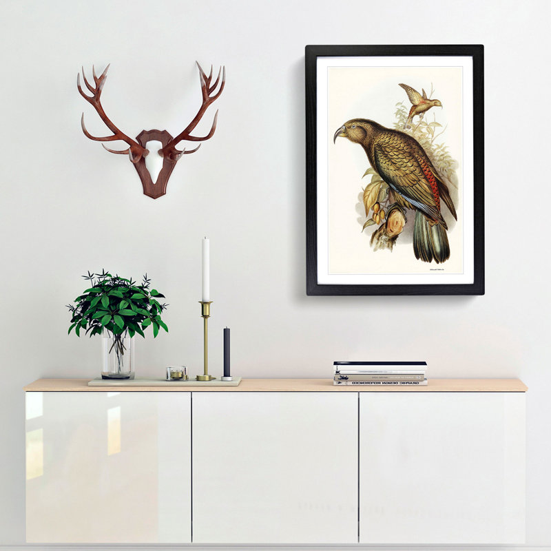Kea Parrot by Elizabeth Gould - Picture Frame Graphic Art Print, Black Framed, 36cm H x 27cm W x 2cm D