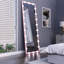 Miroir de vestibule pleine grandeur de style avec lumières: 3 niveaux de luminosité, 62,6 po x 23,3 po, rose pour vestiaire, chambre à coucher, lumières d'hôtel, 62,6 po x 23,3 po, couleurs, cadre en aluminium, entrée-2040713470