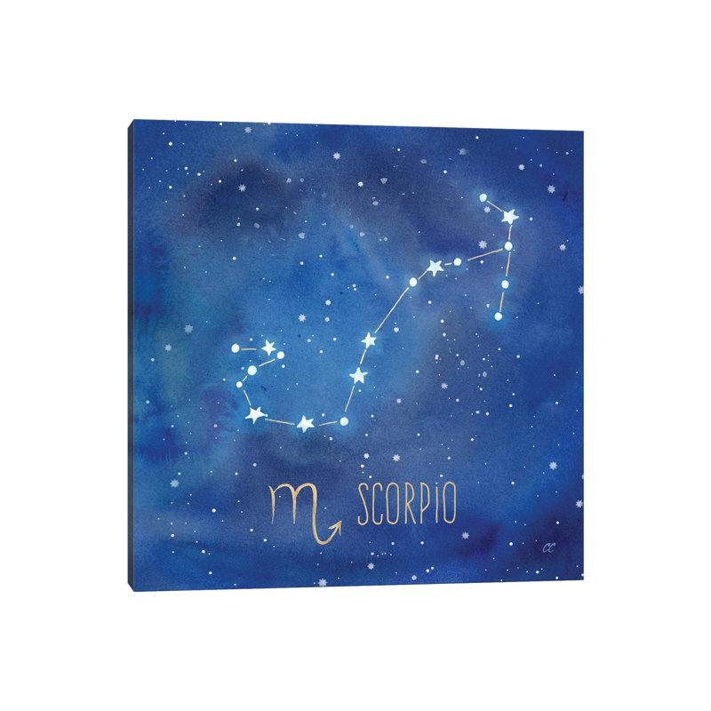 Star Sign Scorpio by Cynthia Coulter - Wrapped Canvas Print, 30.48 cm H x 30.48 cm W