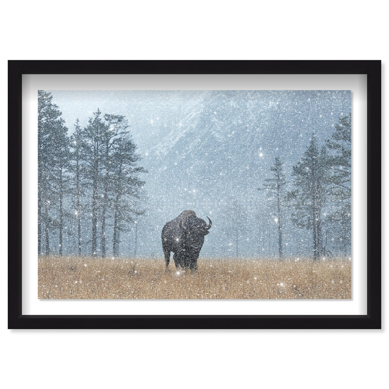 Mountain Bison II Print by Oliver Gal, 11.5" H x 16.5" W, Black Shadowbox
