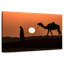 Silhouette d'homme et de chameau-690565894