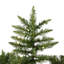 Camdon Lighted Artificial Fir Christmas Tree-224832152-228653552