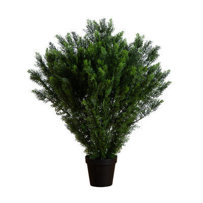 Artificial Cedar Bush UV Resistant (Indoor/Outdoor)