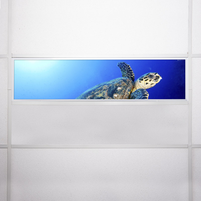 Couvre-lumière décoratif flexible océan