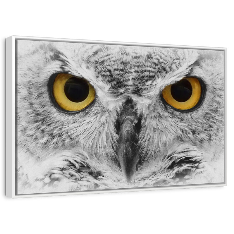 Chouette audacieuse, Cadre flottant blanc, 43 po x 29 po