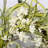 26" Faux Forsythia Floral Wreath for Front Door-454290037