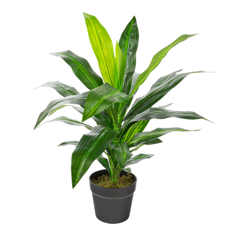 Dracaena artificiel en pot, H 25,59 po x l 26,5 po x P 26,5 po