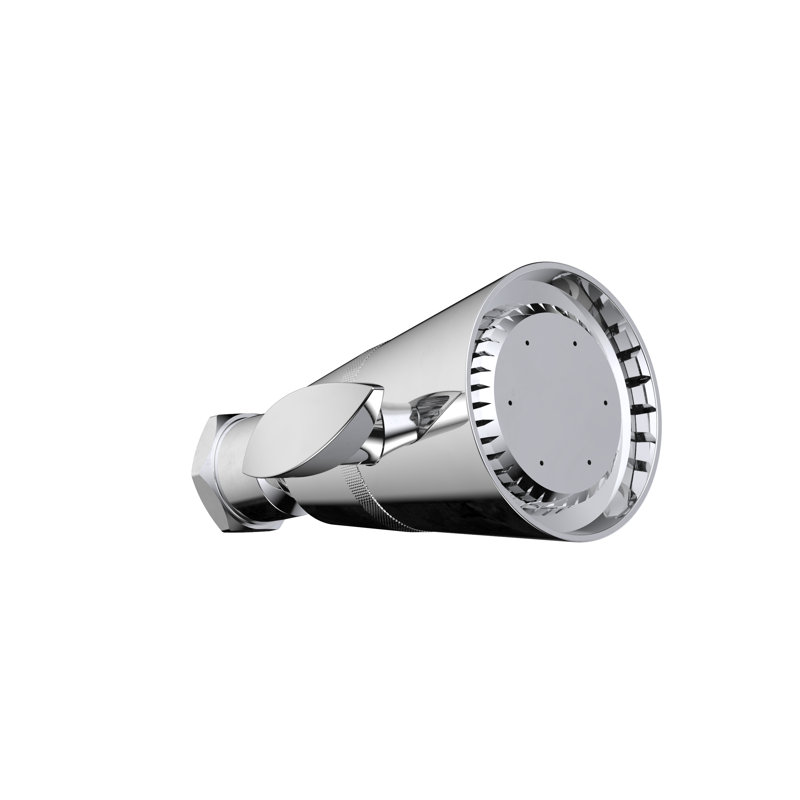 Pomme de douche réglable complète stylewise, H 6,25 po x l 7,25 po x P 3,5 po