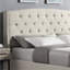 Grand lit contemporain à boutons en tissu beige, option de chambre à coucher moderne, choix de lit tapissier