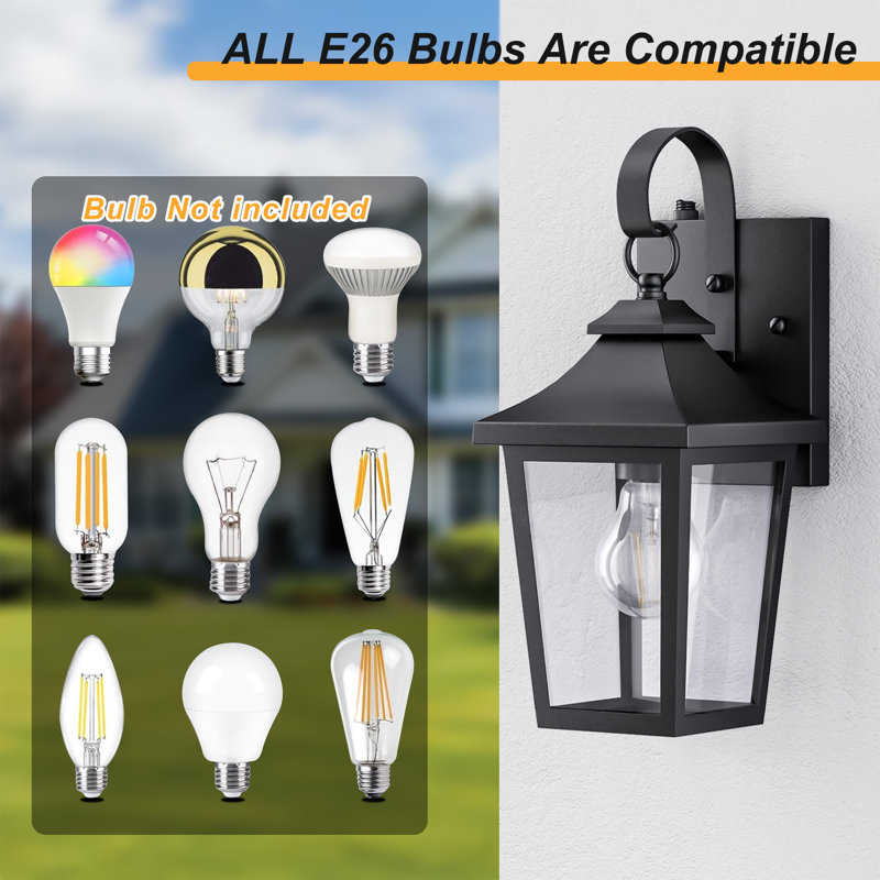 Abarca 13''H Iron Black ETL Tempered Glass Outdoor Wall Light with Dusk to Dawn, Matte Black