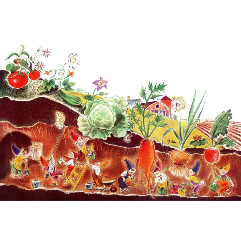 Garden - Wrapped Canvas Print, 30cm H x 46cm W