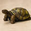 Statue de tortue de jardin
