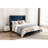 Upholstered Queen Bed Frame, 54" Headboard, Handmade Tufting, Nailhead Trim Wingback, Blue Velvet, No Box Spring, Quick Build Charming Spring Not Needed, Easy Assembly Video-128858455-128858458