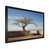 Black Single Picture Framed