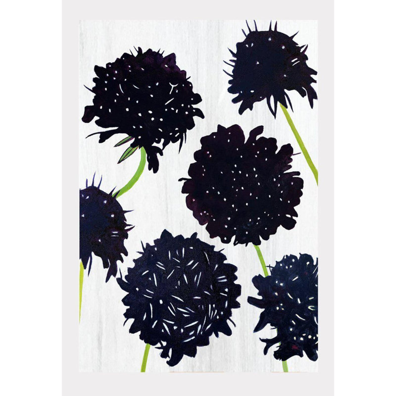 Scabiosa noir sur neige - sans cadre, H 22 po x l 17 po