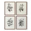 «Vintage Floral Print», impression encadrée, ensemble de 4-1451409952-1451409955