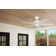 McGavock 52'' Ceiling Fan