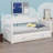 Daybed With Trundle Bed, Extendable Daybed With Two Storage Drawers-170063947