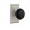 Studio Plate with Black Porcelain Door Knob