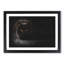 Black Cat with Yellow Eyes - Picture Frame Painting Print-56633748-56633753