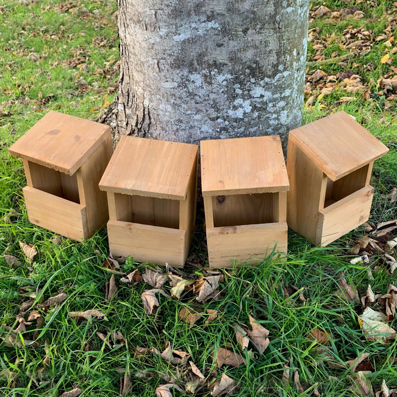 Wooden Robin Mounted Bird House