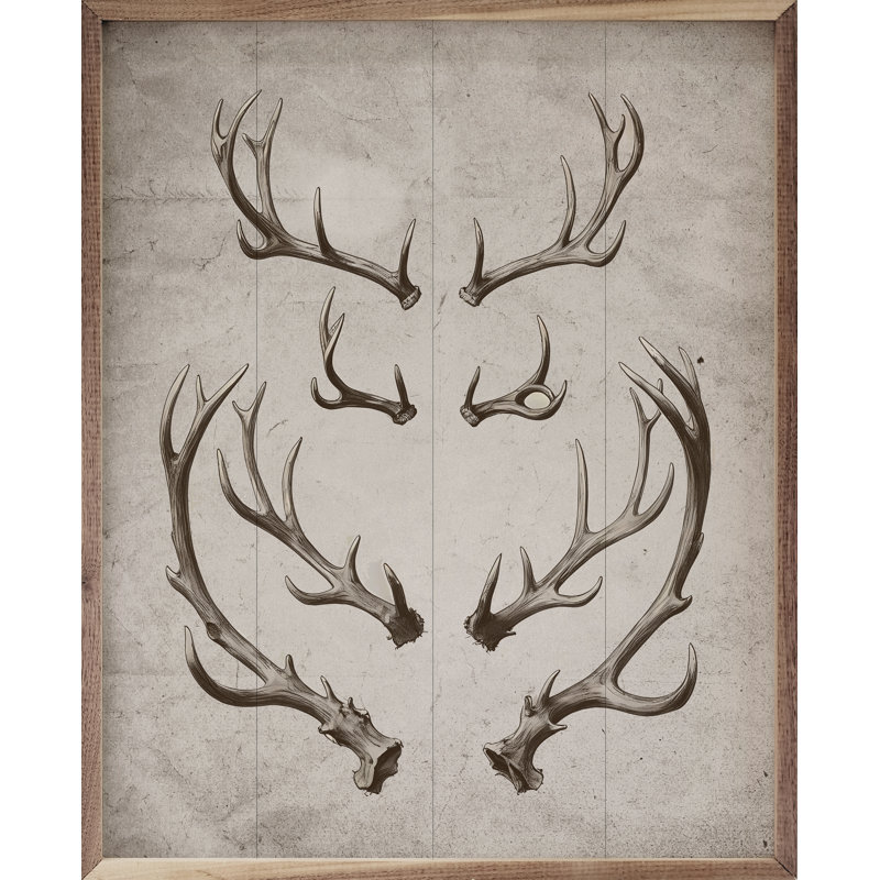 Bois de cerf blanc, H 40 po x l 32 po, Blanc